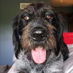 Meet your Posher, Emme